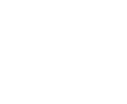 Петербургский дневник